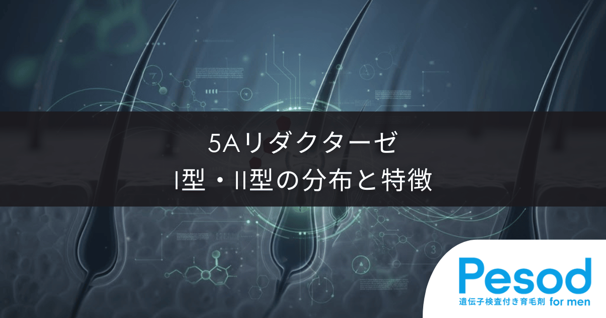 5αリダクターゼI型・II型の分布と特徴|前頭部と頭頂部が狙われる酵素の配置図