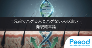 兄弟でハゲる人とハゲない人の違い｜遺伝子の組み合わせと発現の確率論