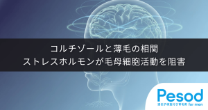 コルチゾールと薄毛の相関｜ストレスホルモンが毛母細胞の活動を阻害する仕組み