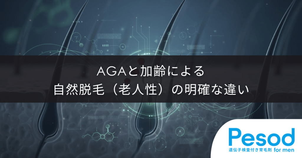AGAと加齢による自然脱毛（老人性）の明確な違い｜進行スピードと毛根寿命の比較分析