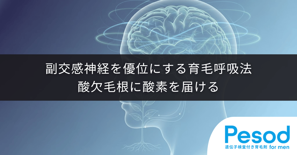 副交感神経を優位にする育毛呼吸法|酸欠した毛根に酸素を届けるリラックス習慣