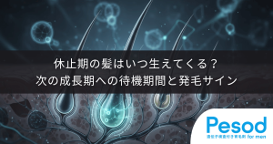 休止期の髪はいつ生えてくる？次の成長期へ移行するまでの待機期間と発毛サイン