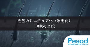 毛包のミニチュア化（軟毛化）現象の全貌｜毛母細胞の活動低下で髪が細くなる物理的理由