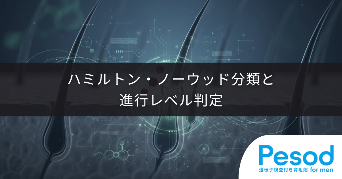ハミルトン・ノーウッド分類と進行レベル判定|M字型・O字型脱毛の軌跡をたどる医学的指標