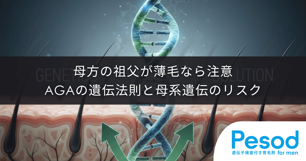 母方の祖父が薄毛なら注意|X染色体が運ぶAGAの遺伝法則と母系遺伝のリスク