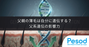 父親の薄毛は自分に遺伝する？Y染色体と常染色体が担う父系遺伝の影響力