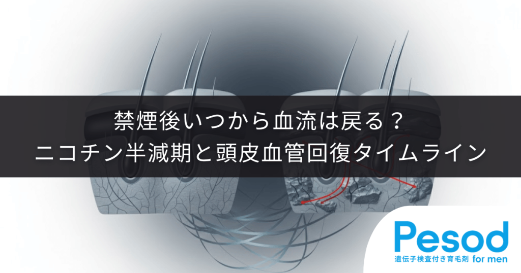 禁煙後いつから血流は戻る？ニコチンの半減期と頭皮血管の回復タイムライン