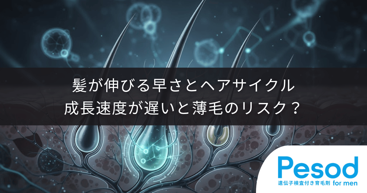 髪が伸びる早さとヘアサイクルの関係|1ヶ月の成長速度が遅い場合の薄毛リスク