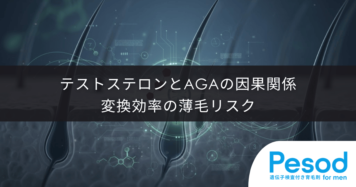 テストステロンとAGAの因果関係|ホルモン量ではなく変換効率が招く薄毛のリスク