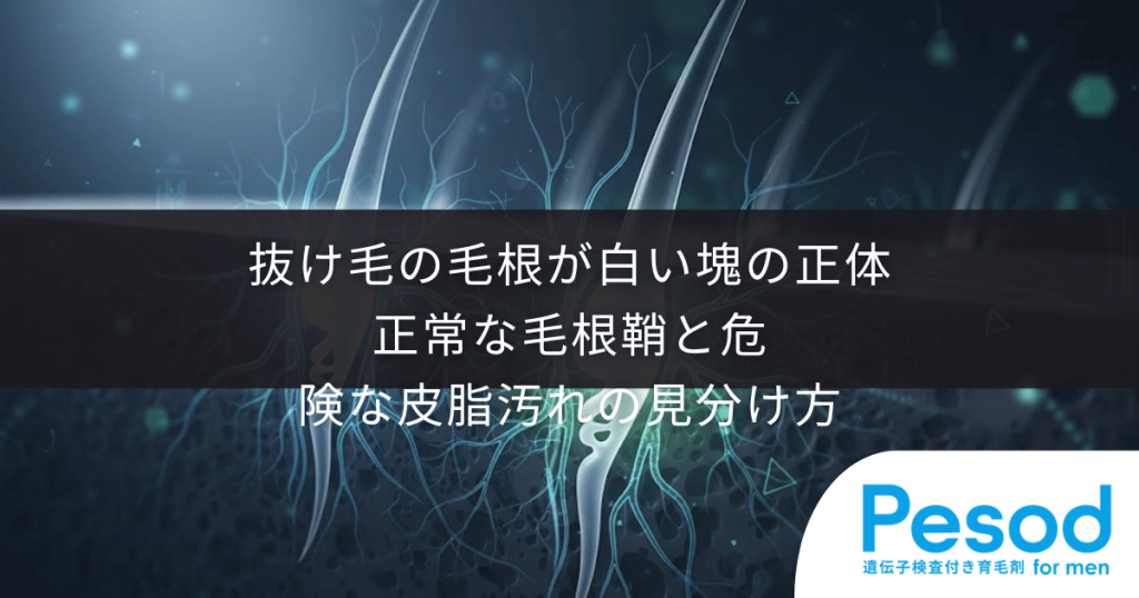 抜け毛の毛根が白い塊の正体｜正常な毛根鞘と危険な皮脂汚れの見分け方