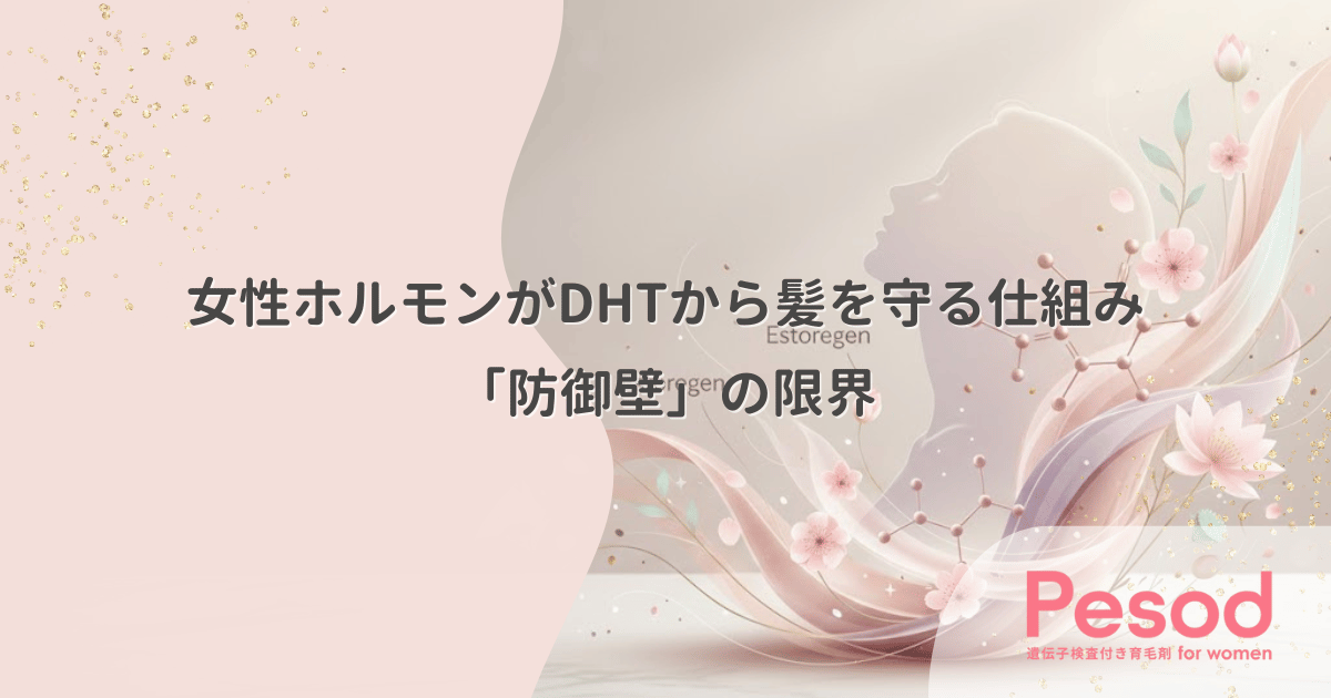 女性ホルモンが髪をDHTから守る仕組み|男性のように禿げない「防御壁」の限界