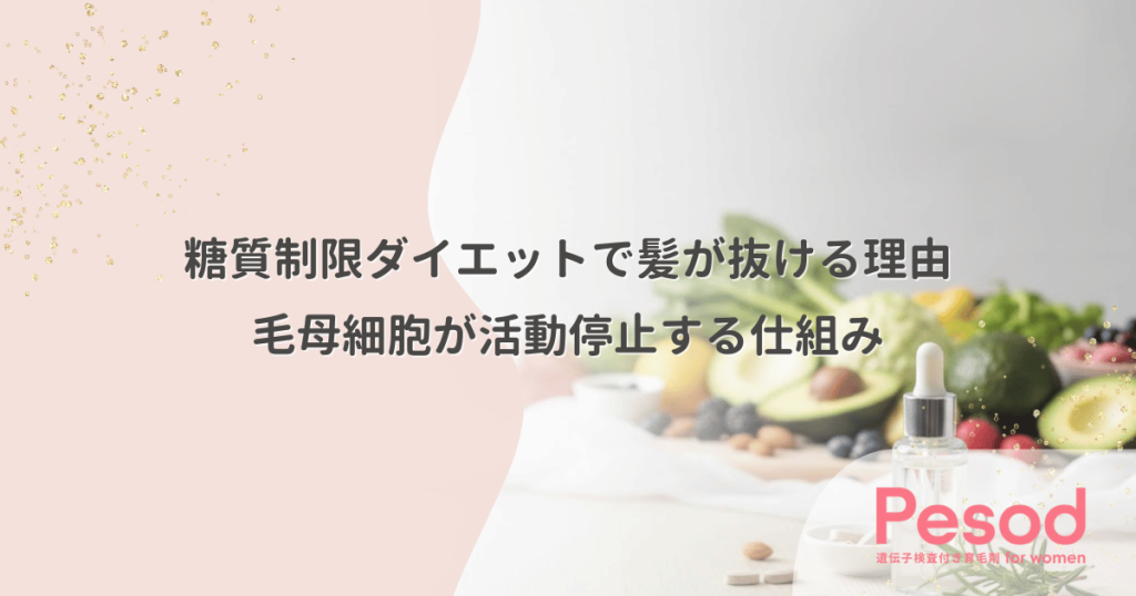 糖質制限ダイエットで髪が抜ける理由｜エネルギー不足で毛母細胞が活動停止する仕組み
