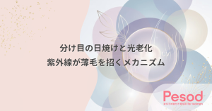 分け目の日焼けと光老化｜紫外線が毛包幹細胞を破壊し薄毛を招くメカニズム