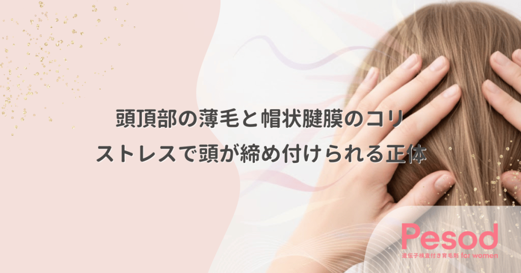 頭頂部の薄毛と帽状腱膜のコリ｜ストレスで頭が締め付けられる正体と構造