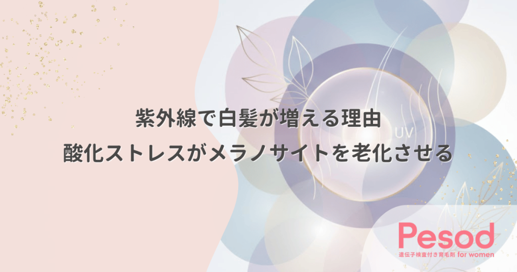 紫外線で白髪が増える理由｜頭皮の酸化ストレスがメラノサイトを老化させる