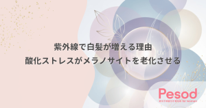 紫外線で白髪が増える理由｜頭皮の酸化ストレスがメラノサイトを老化させる